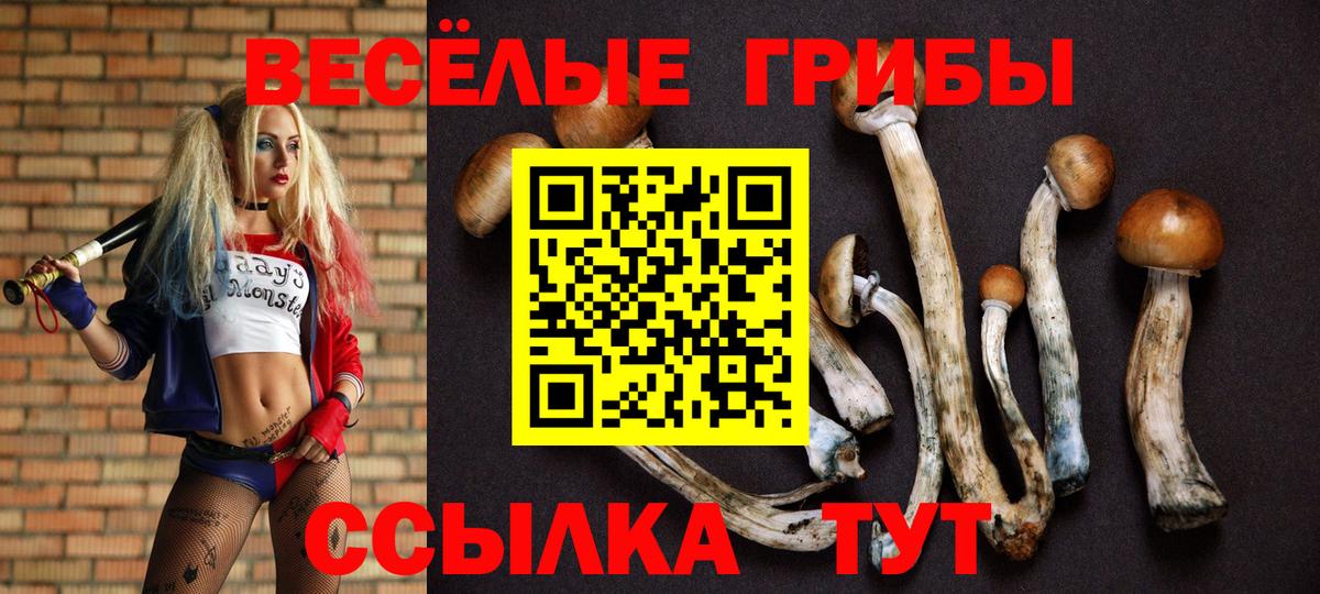 Ефремов  купить наркотик  Галлюциногенные грибы Psilocybine cubensis  Вход с VPN  Псилоцибиновые грибы мицелий 